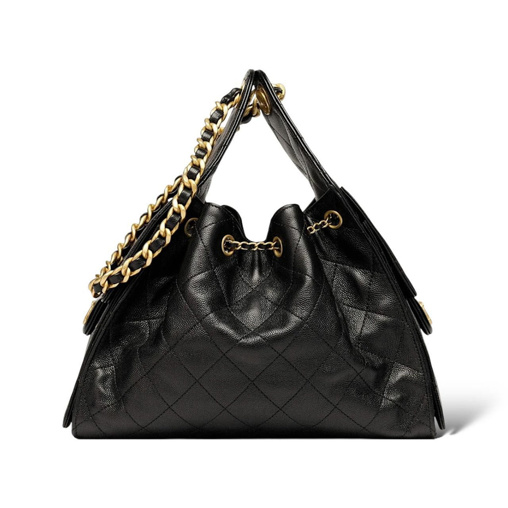 Chanel 25 Hobo Bag